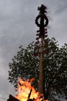 2016-04-30 Maibaum stellen 030 (DSC_0307)